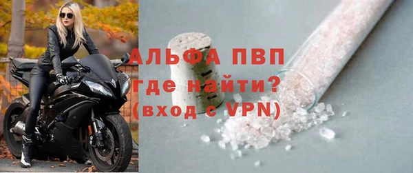 стаф Новокубанск