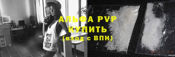 ALPHA-PVP Новозыбков