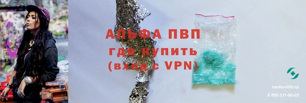 ALPHA-PVP Новозыбков