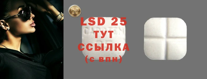 стаф Новокубанск