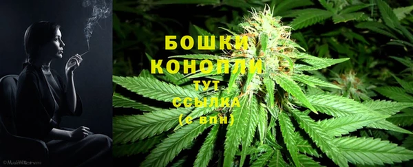 стаф Новокубанск