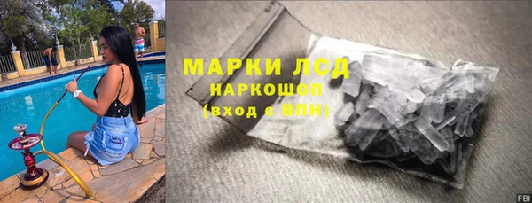 стаф Новокубанск