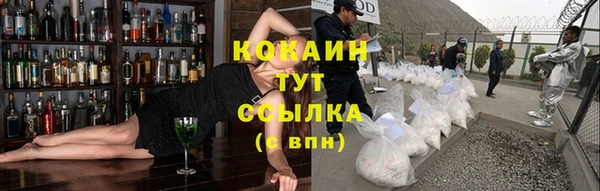 СК Весьегонск