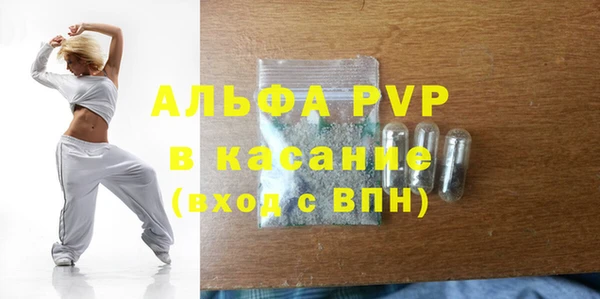 стаф Новокубанск