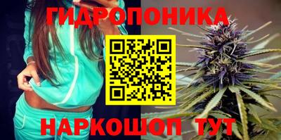 метадон Аргун