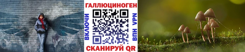 Галлюциногенные грибы MAGIC MUSHROOMS  Курган 
