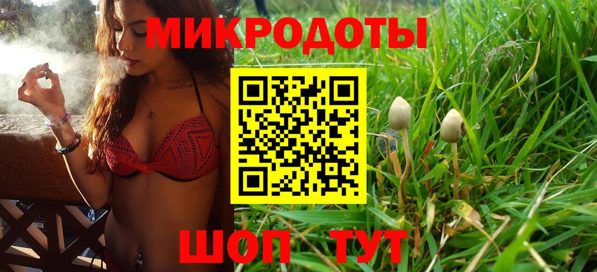 Галлюциногенные грибы GOLDEN TEACHER  Курган  Псилоцибиновые грибы Magic Shrooms 