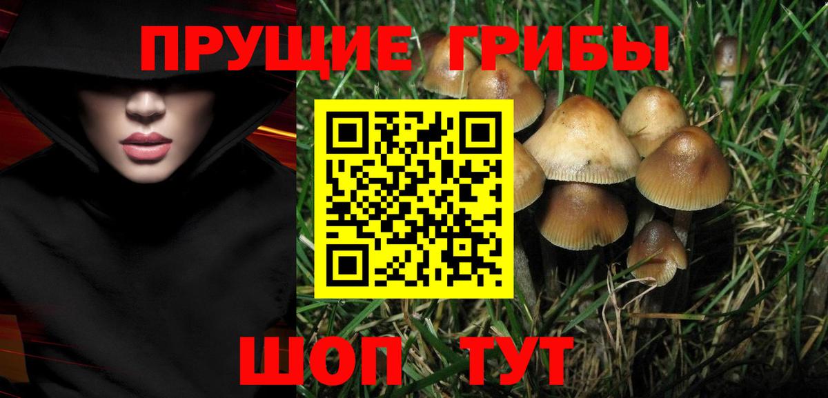 Псилоцибиновые грибы Magic Shrooms Курган